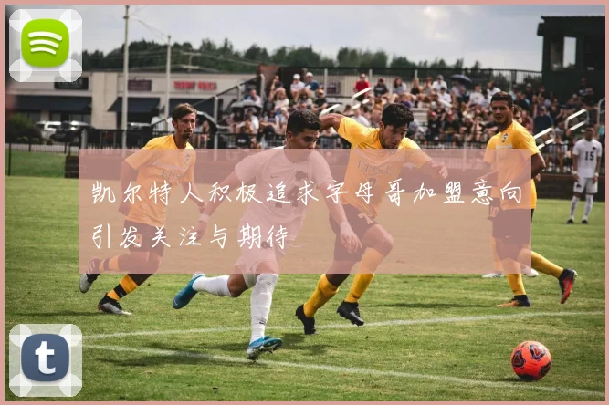 凯尔特人积极追求字母哥加盟意向引发关注与期待